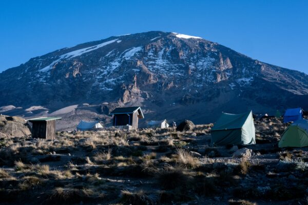 7-Day Lemosho Route – Kilimanjaro Trek