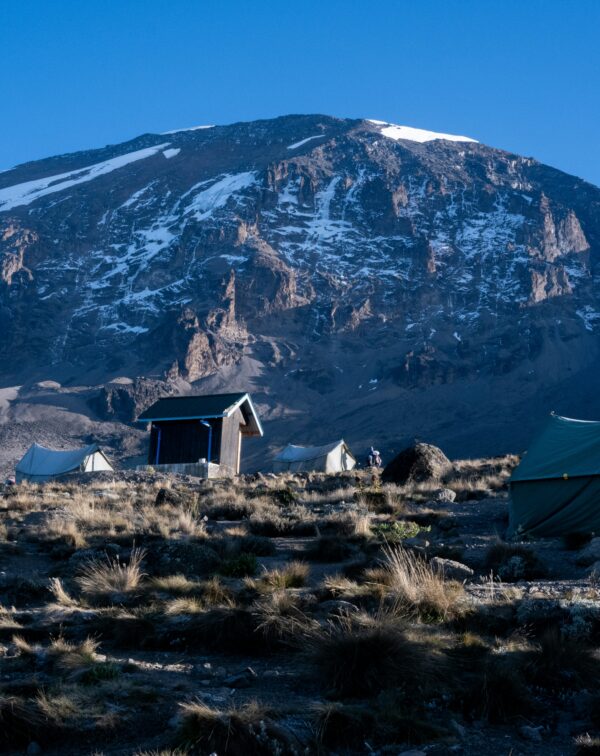 7-Day Lemosho Route – Kilimanjaro Trek