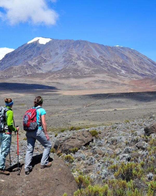 6-Day Rongai Route – Kilimanjaro Trek